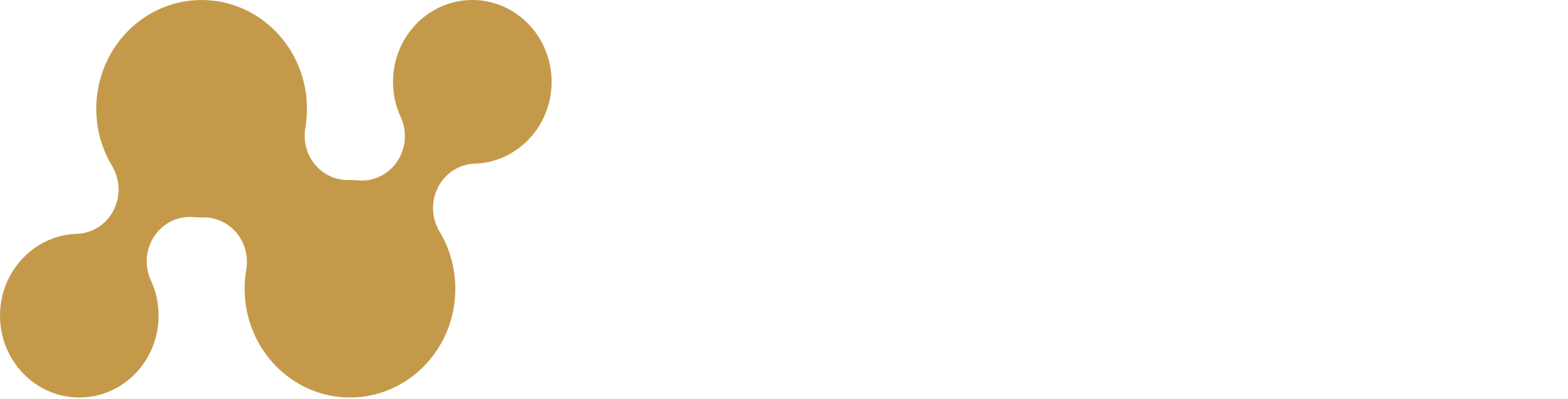 Nodix